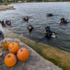 2024 » Windmill Pumpkin Carving